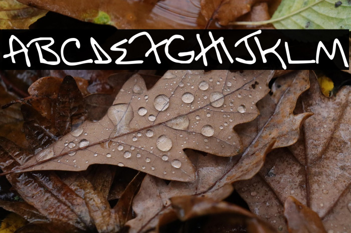 MomsFontYOFF Example 2