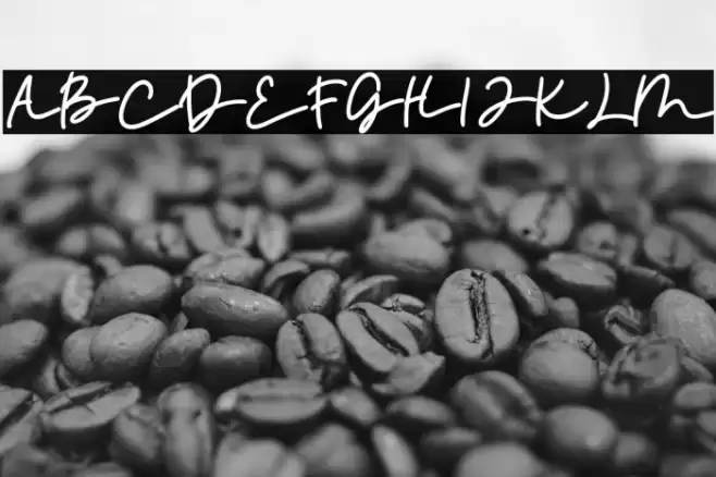 Momy & Marsa Font examples