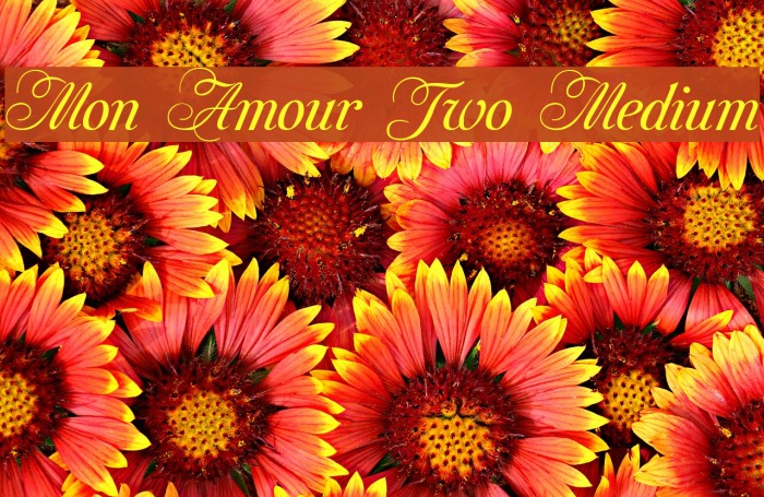 Mon Amour Two Medium Font examples