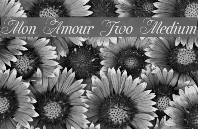 Mon Amour Two Medium Example 3