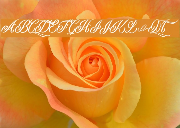 Mon Cherry Personal Use Font examples