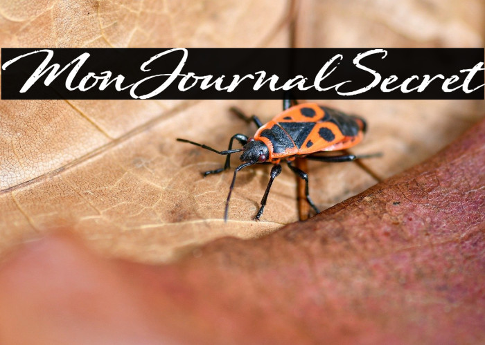 Mon Journal Secret Example 2