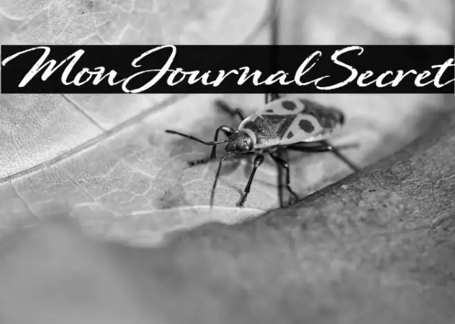 Mon Journal Secret Example 2