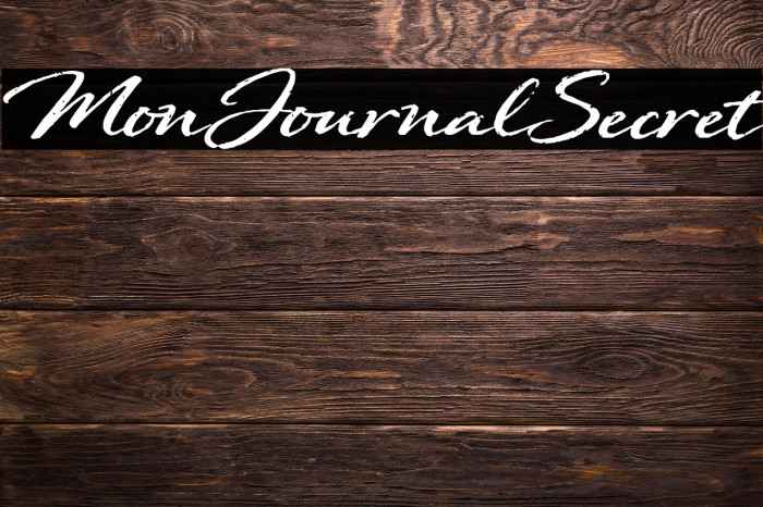 Mon Journal Secret Example 3