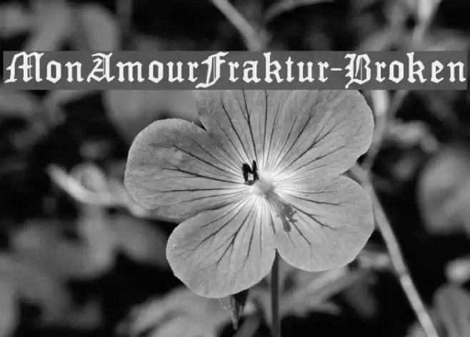 MonAmourFraktur-Broken Schriftart examples