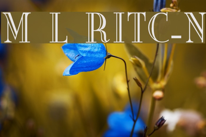 Mona Lisa RecutITC-Normal Example 3