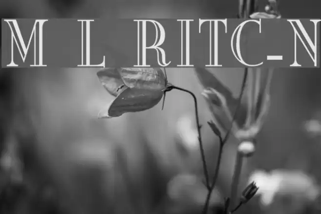 Mona Lisa RecutITC-Normal Font examples