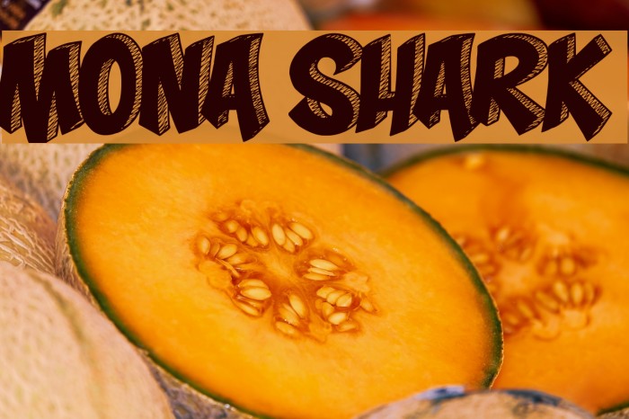Mona Shark Font examples