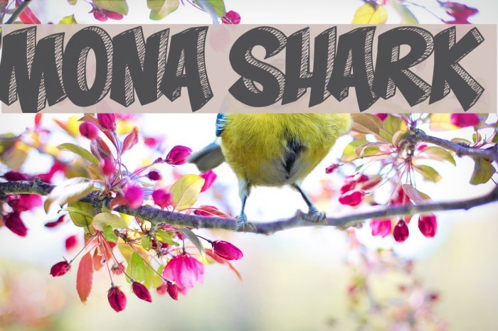Mona Shark Font examples
