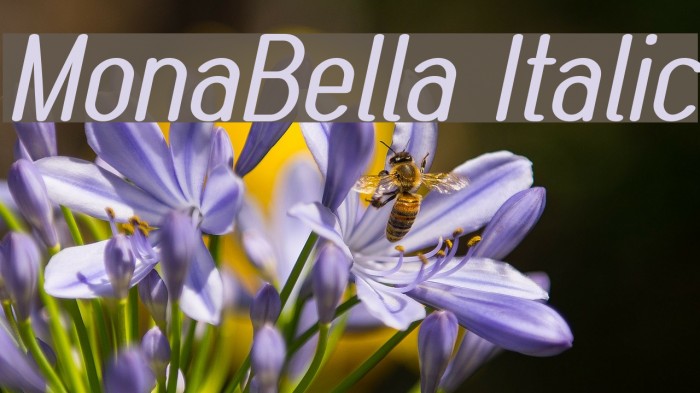 MonaBella Italic Font examples