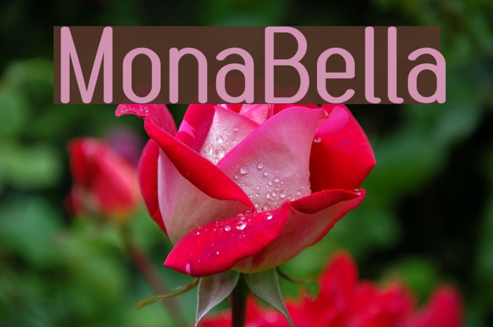 MonaBella Font examples