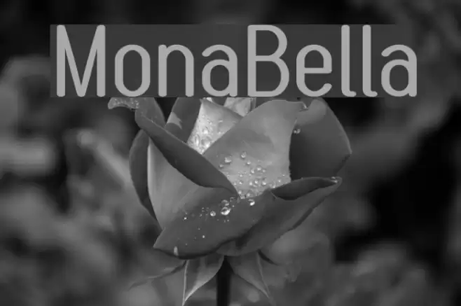 MonaBella Fuentes examples