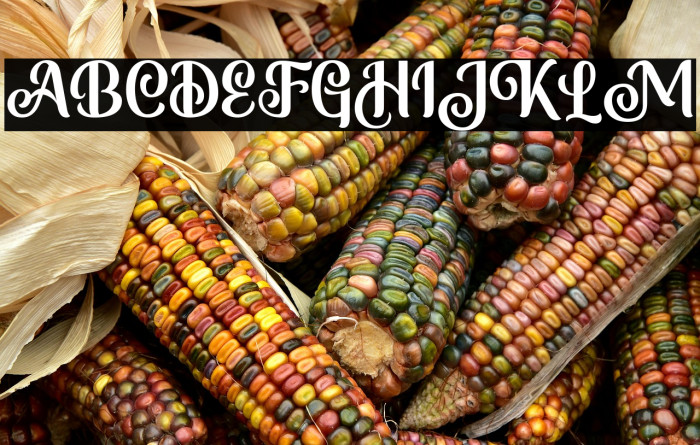 MonabeliaClean-Regular Example 1