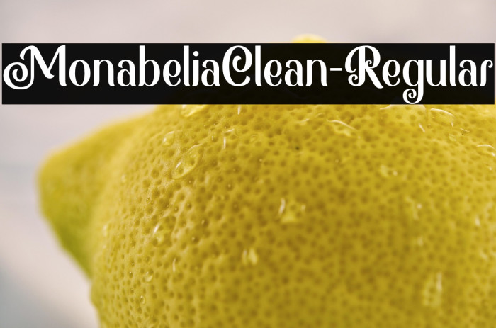 MonabeliaClean-Regular Example 2