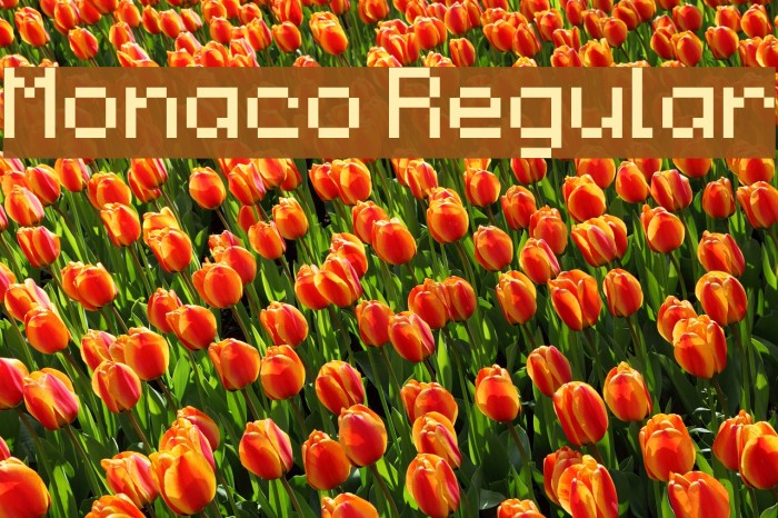 Monaco Regular Font examples