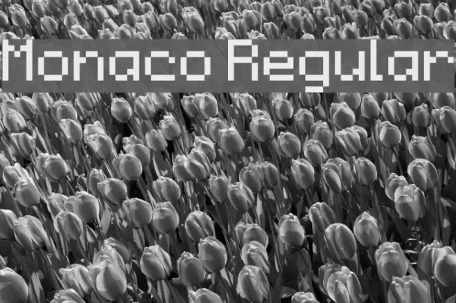 Monaco Regular Fuentes examples
