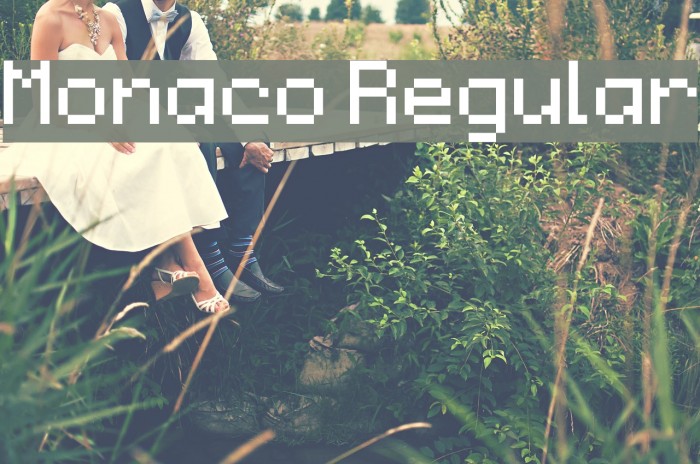 Monaco Regular Font examples