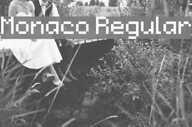Monaco Regular Fuentes examples