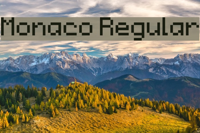 Monaco Regular Font examples