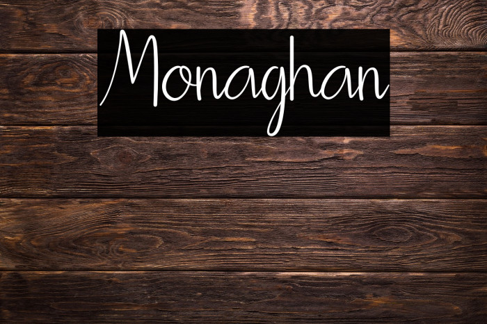 Monaghan Example 1