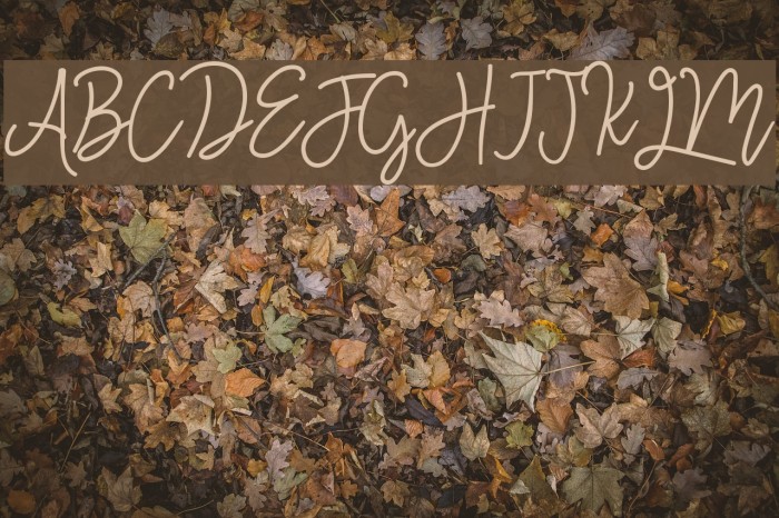 Monalisa Monoline Script Font examples