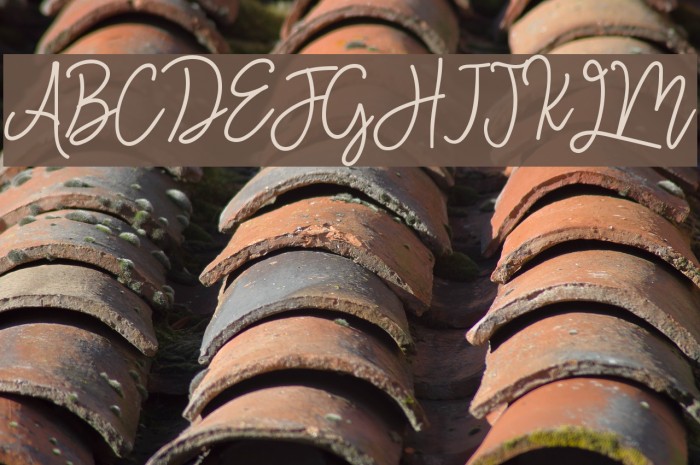 Monalisa Monoline Script Font examples