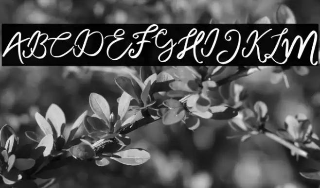 MonalisaFREE Font examples