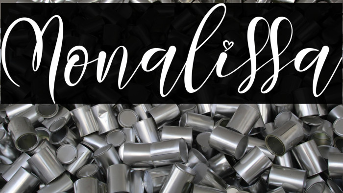 Monalissa Example 1