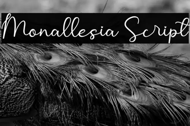 Monallesia Script Font examples