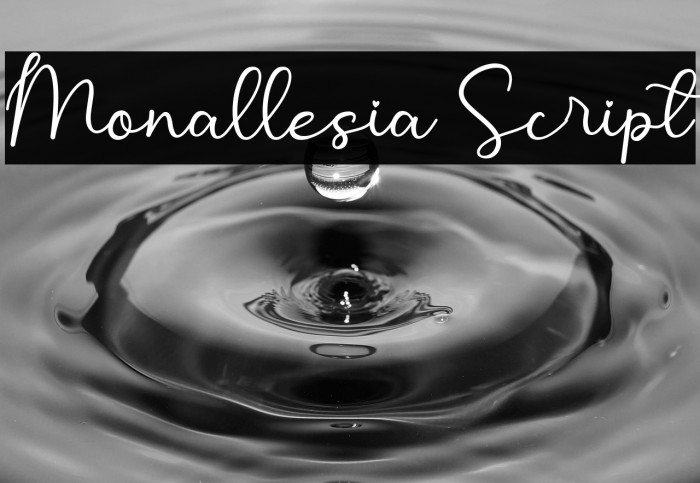 Monallesia Script Example 3