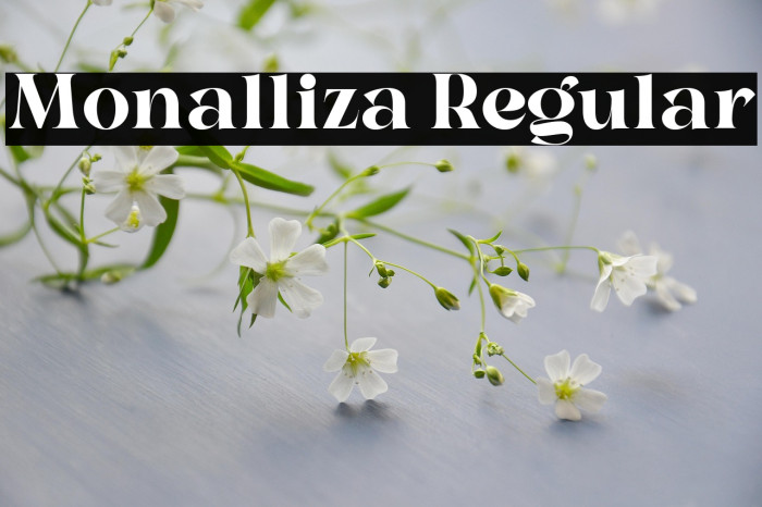 Monalliza Regular Example 2