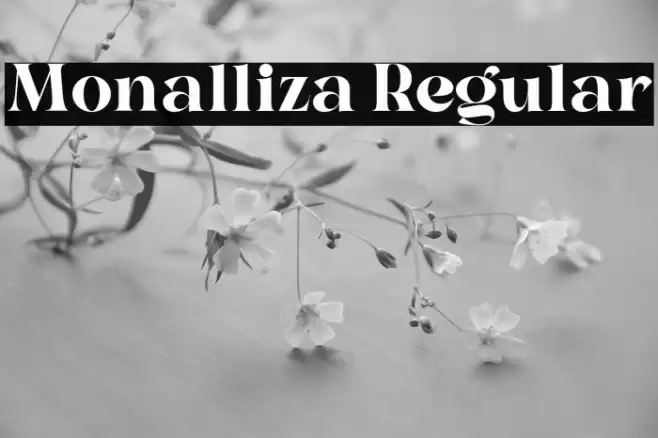Monalliza Regular Font examples