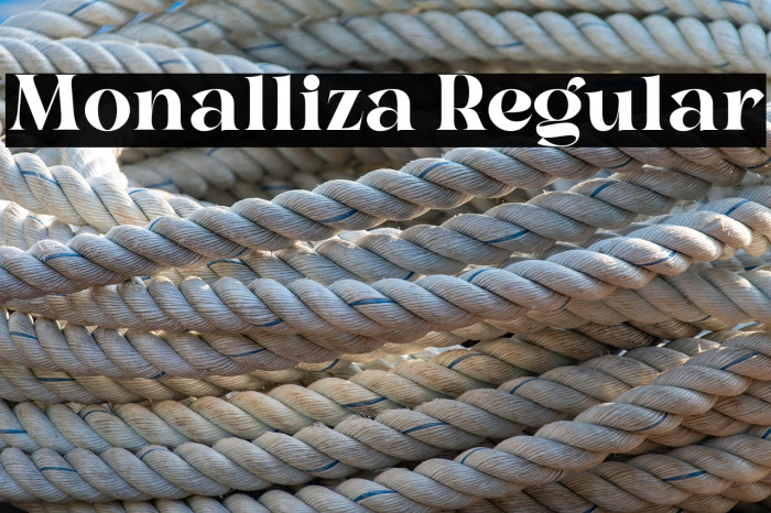 Monalliza Regular Example 3