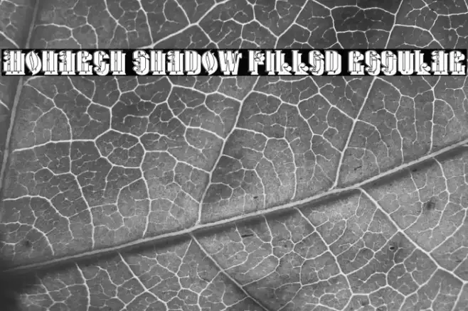 Monarch Shadow Filled Regular Example 2