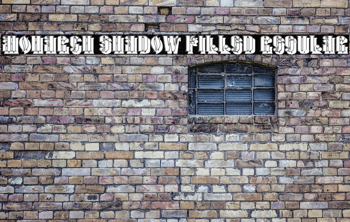 Monarch Shadow Filled Regular Example 3