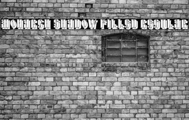 Monarch Shadow Filled Regular Example 3