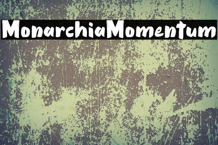 Monarchia Momentum Example 2