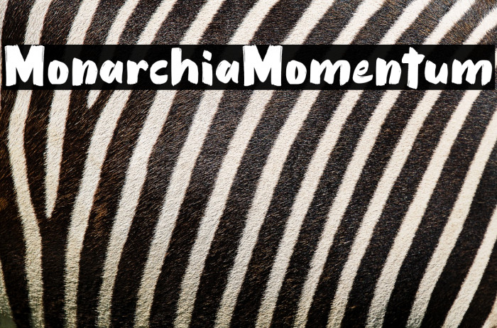 Monarchia Momentum Example 3