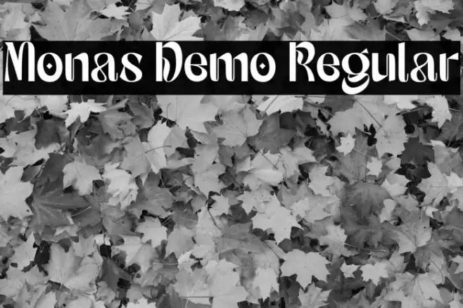 Monas Demo Regular Font examples