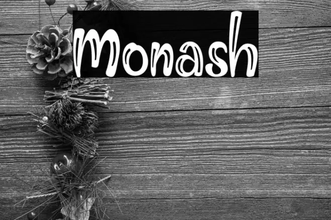 Monash Example 3