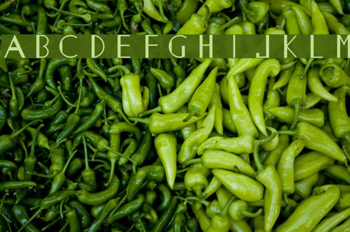 MonasticPro Font examples