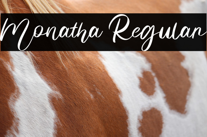 Monatha Regular Example 2