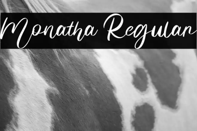Monatha Regular Example 2