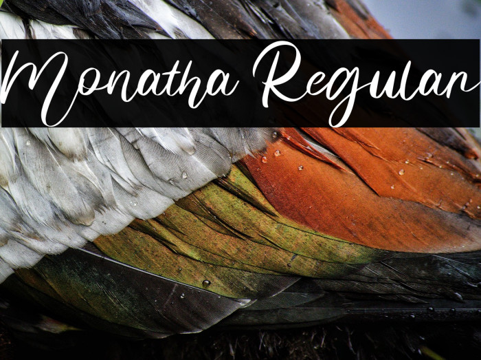 Monatha Regular Example 3