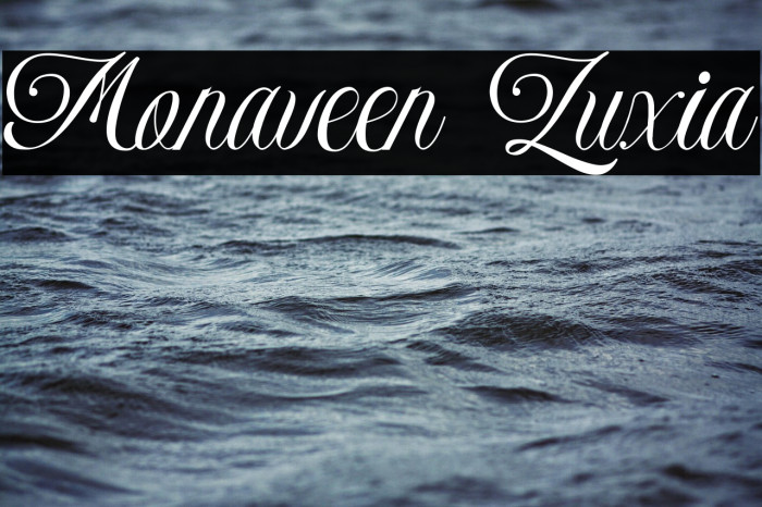 Monaveen Luxia Example 1