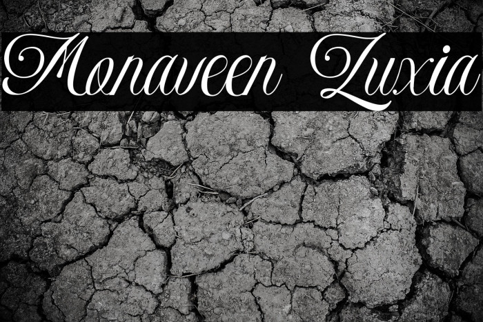 Monaveen Luxia Example 3