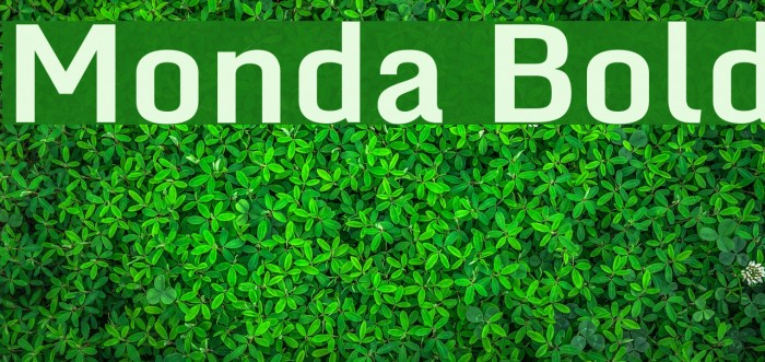 Monda Bold Font examples