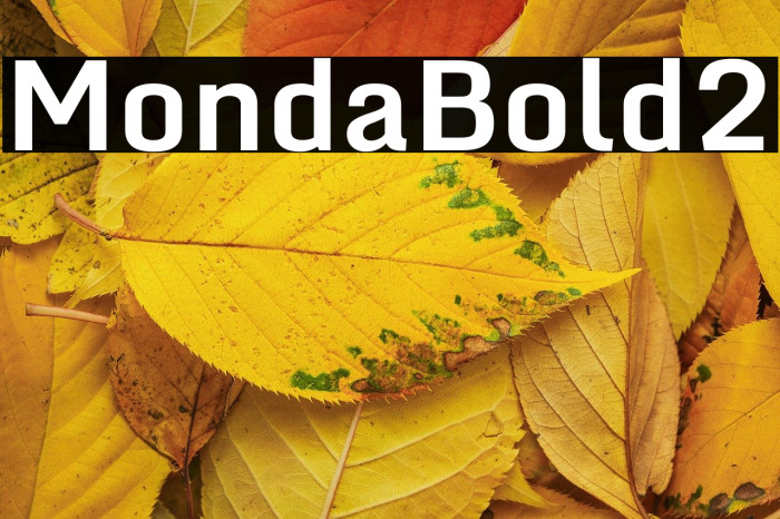 Monda Bold2 Example 2