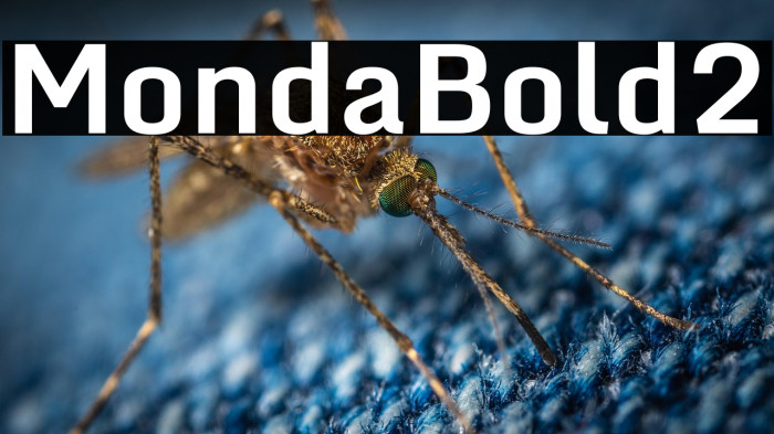 Monda Bold2 Example 3