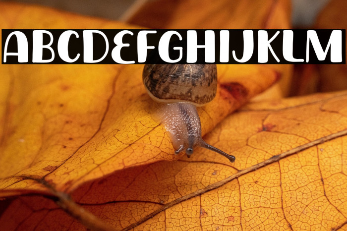 Monday Banana Example 1